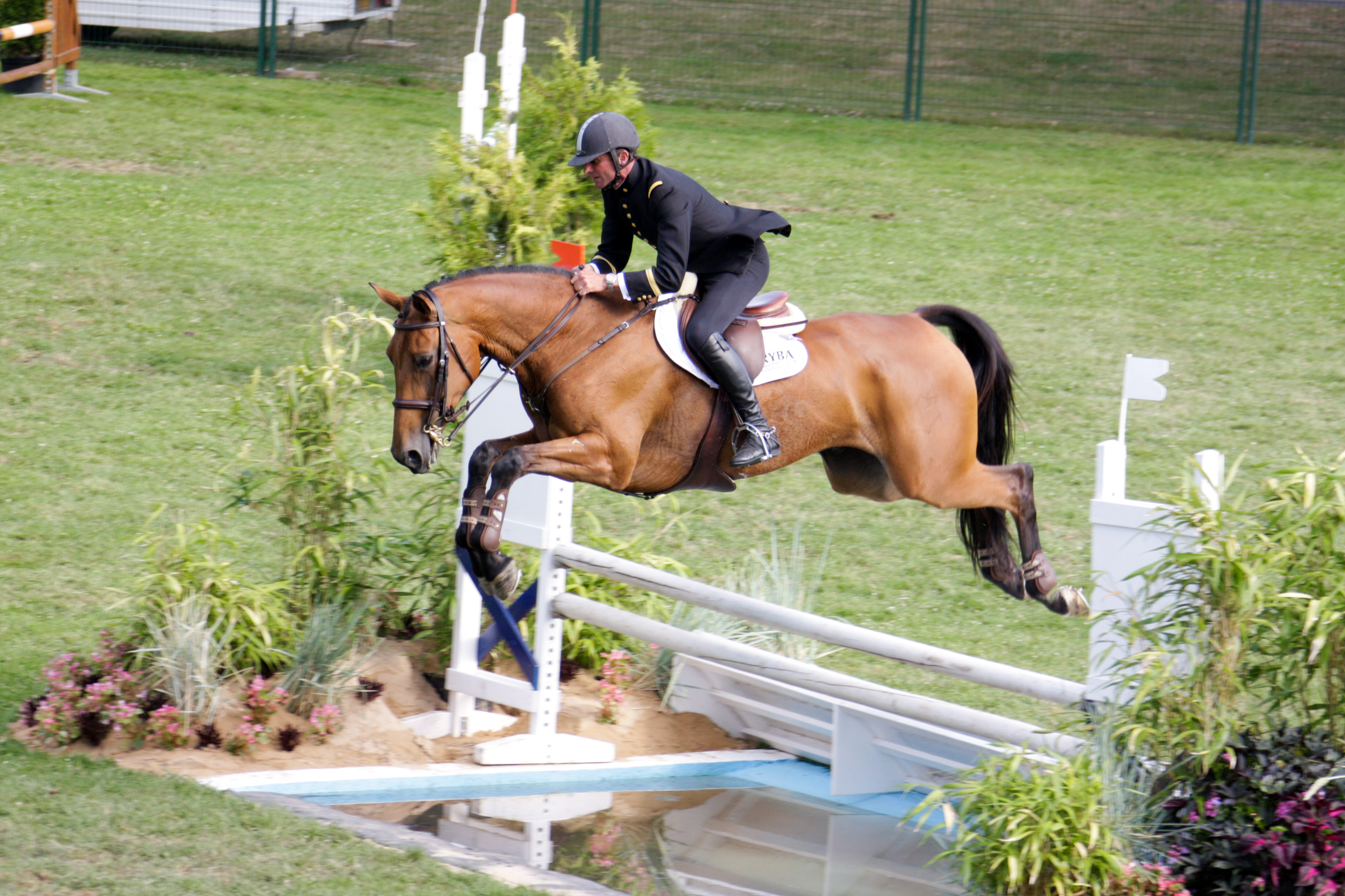 Ismene au CSI de Challans en 2009