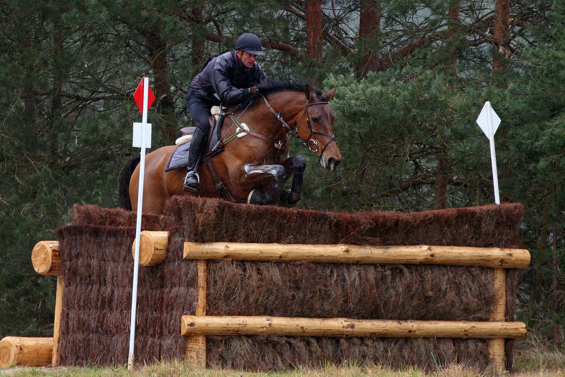 Ismene au CIC*** de Fontainebleau 2007