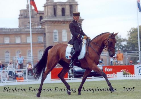 Ismene au dress des Championnats d\'Europe de BLenheim en 2005