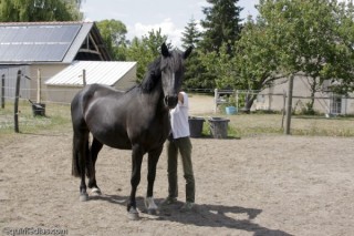 Un amour à trois ans