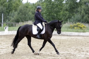 Didier passe progressivement la main à Clémentine, ici en dressage à Vernoil