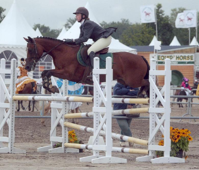 2003LamotteCso2