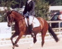 image007