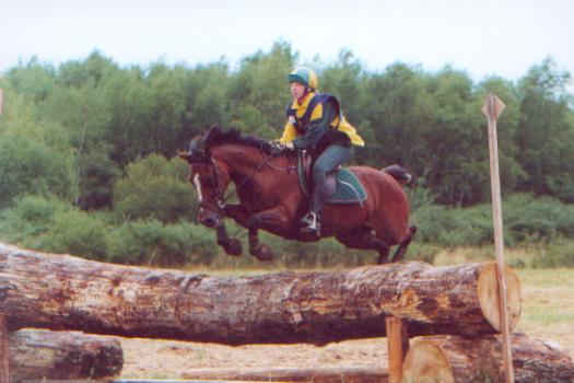 trakhenenlamotte2001