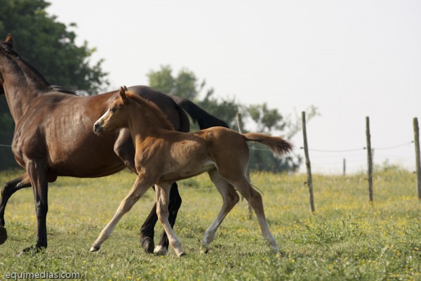 minimoun26-04-2011-0060
