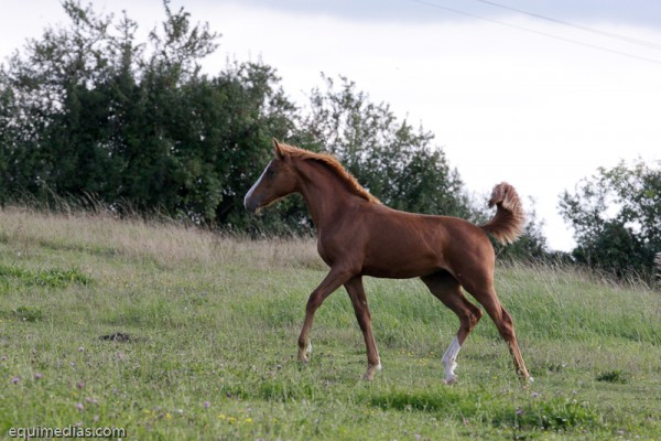 minimouns8-8-2011-2493