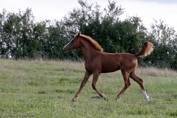 minimouns8-8-2011-2496