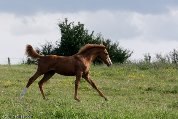 minimouns8-8-2011-2503