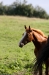 minimouns8-8-2011-2427