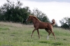 minimouns8-8-2011-2493