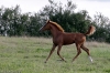 minimouns8-8-2011-2496
