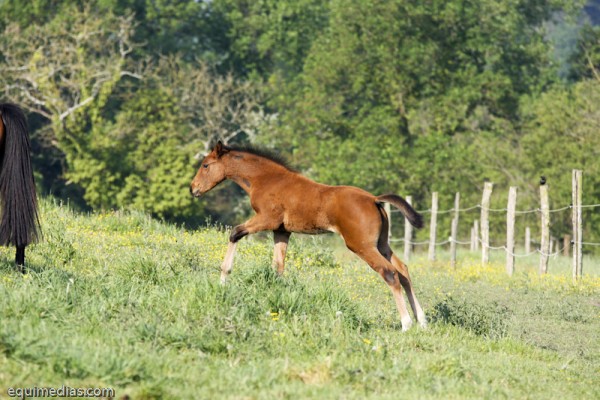 minimoun26-04-2011-0021