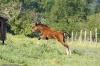 minimoun26-04-2011-0021