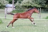 minimouns8-8-2011-2529