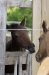 minimouns_31mai-0592