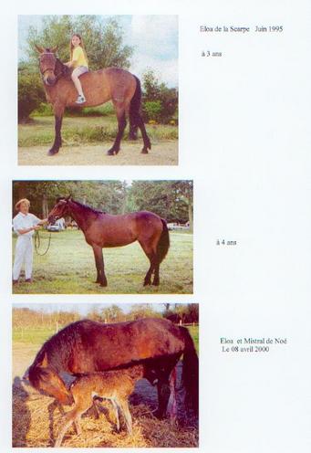 eloa1