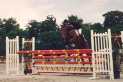 2002CsoLeLionLuc
