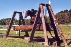 2002PompadourCross1