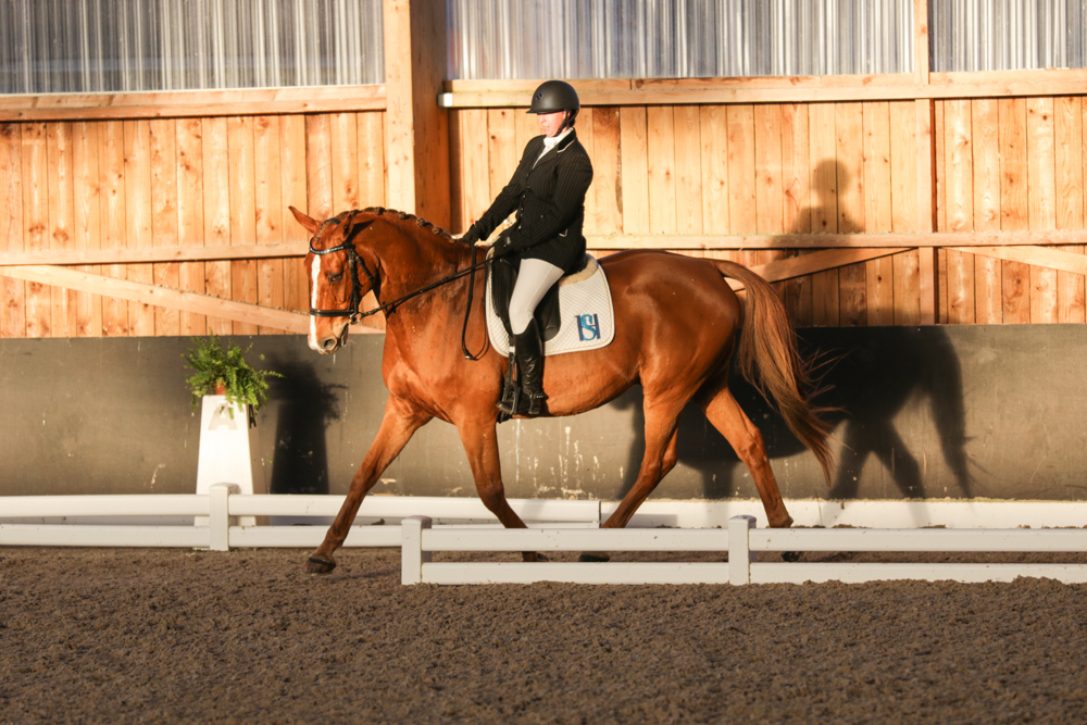 Championnat de France 2015-1830