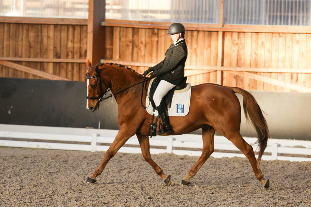 Championnat de France 2015-1866