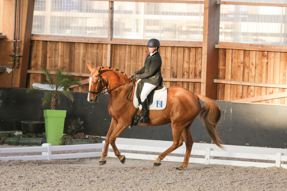 Championnat de France 2015-1913