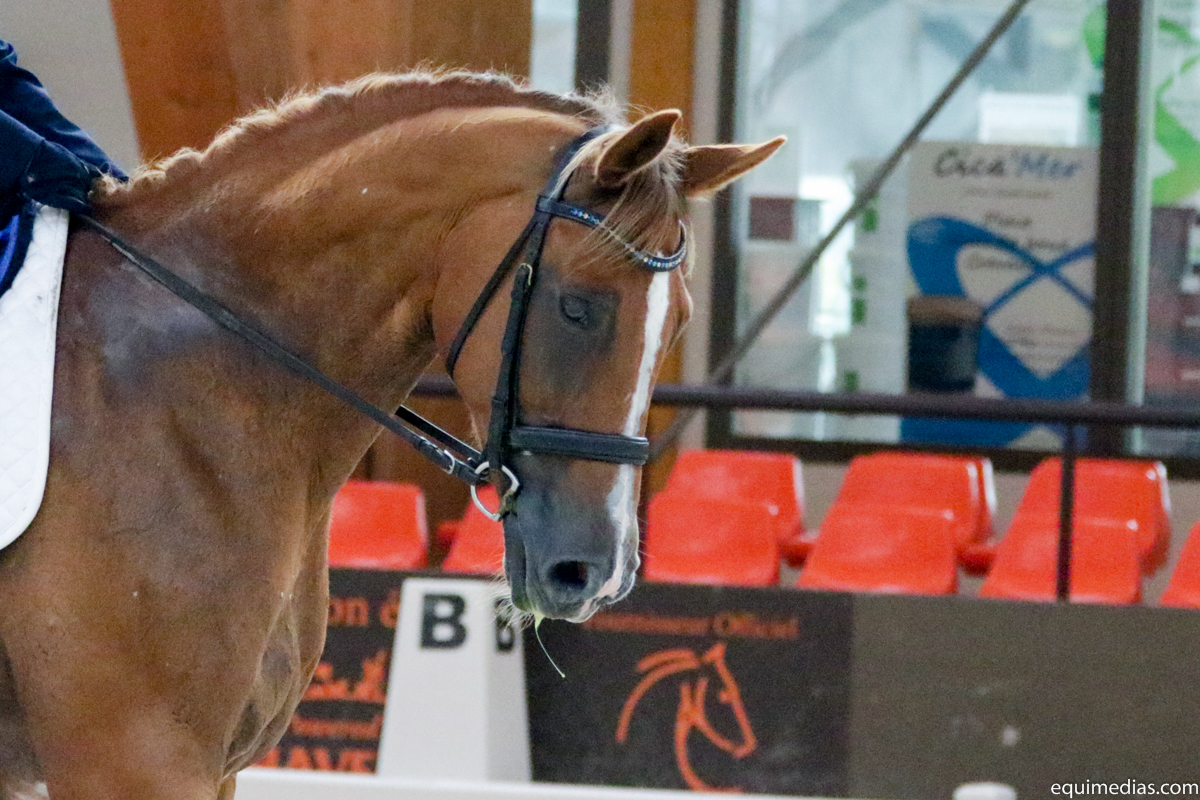 boulerie-reg2017-6497