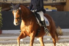 Championnat-2016-1731
