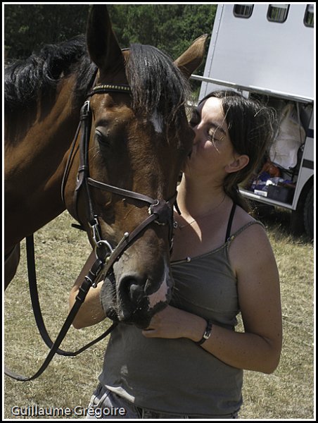 diversapn-0789