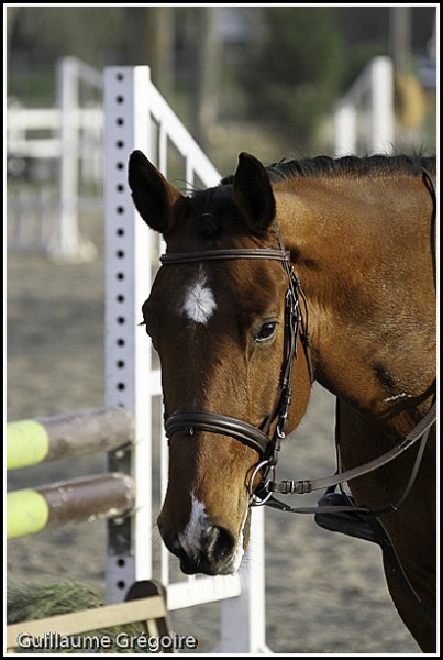 hunter2010-2007
