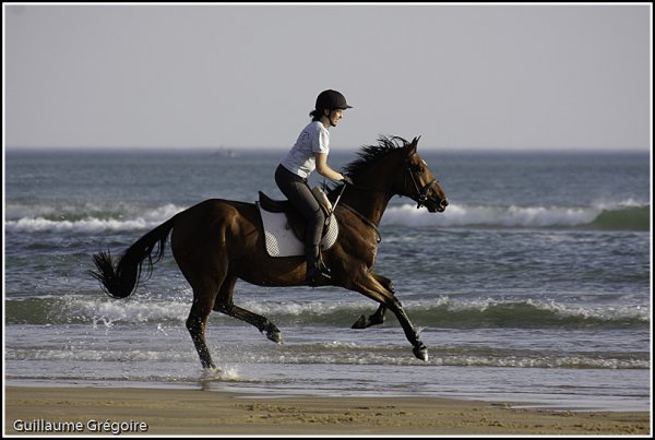 plage-1154