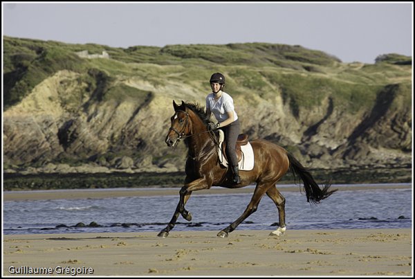 plage-1248