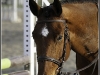 hunter2010-2007
