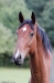 minimouns8-8-2011-2556
