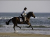plage-1154