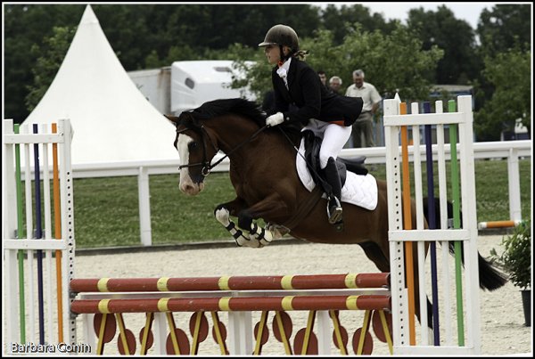 Roadster sur son premir CSO au CIR du Lion : double sf