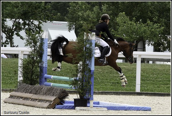 Roadster sur son premir CSO au CIR du Lion : double sf
