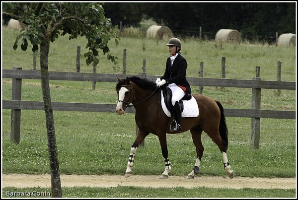 Roadster sur son premir CSO au CIR du Lion : double sf