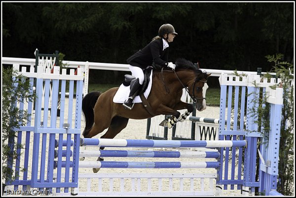 Roadster sur son premir CSO au CIR du Lion : double sf