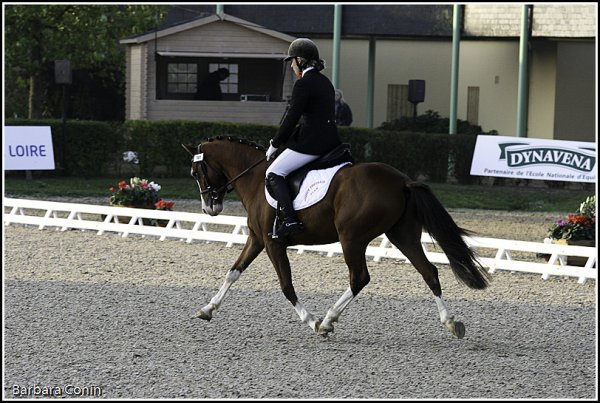 Roadster au championnat de dressage 4ans - 5ème et Excellent