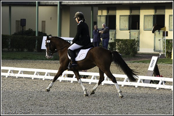 Roadster au championnat de dressage 4ans - 5ème et Excellent
