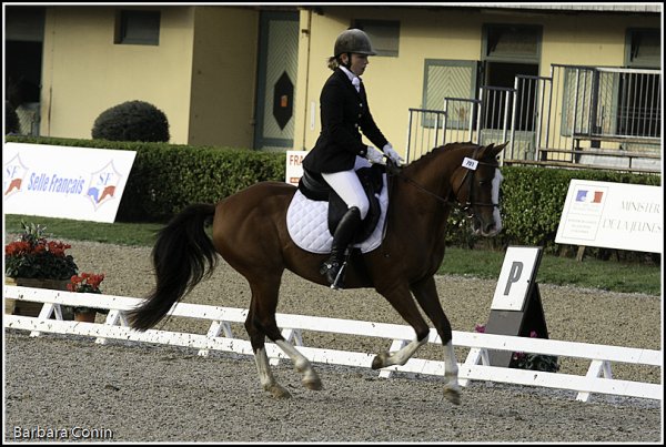 Roadster au championnat de dressage 4ans - 5ème et Excellent