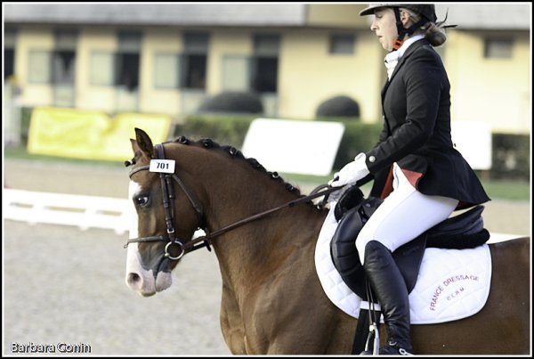 Roadster au championnat de dressage 4ans - 5ème et Excellent