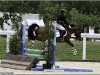 Roadster sur son premir CSO au CIR du Lion : double sf