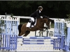 Roadster sur son premir CSO au CIR du Lion : double sf