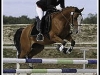 Roadster champion de France des 4ans CSO 2009 - ELITE