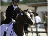 Roadster Champion de France des 4ans CSO 2009