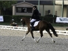 Roadster au championnat de dressage 4ans - 5ème et Excellent
