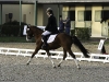 Roadster au championnat de dressage 4ans - 5ème et Excellent