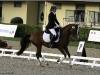 Roadster au championnat de dressage 4ans - 5ème et Excellent