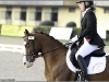 Roadster au championnat de dressage 4ans - 5ème et Excellent